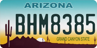 AZ license plate BHM8385
