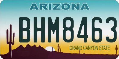 AZ license plate BHM8463