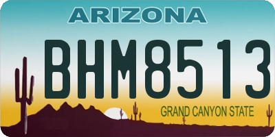 AZ license plate BHM8513