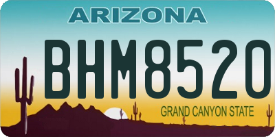 AZ license plate BHM8520
