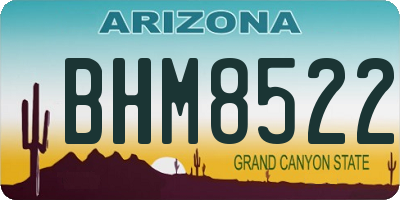 AZ license plate BHM8522