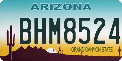 AZ license plate BHM8524