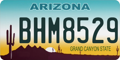 AZ license plate BHM8529