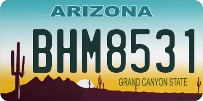 AZ license plate BHM8531