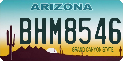 AZ license plate BHM8546