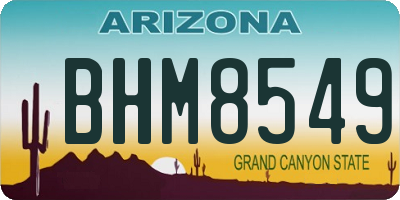 AZ license plate BHM8549