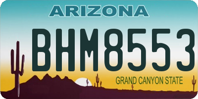 AZ license plate BHM8553