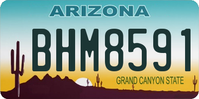 AZ license plate BHM8591