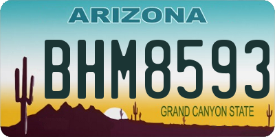 AZ license plate BHM8593