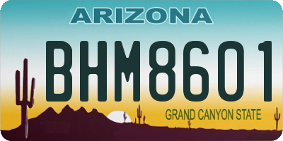 AZ license plate BHM8601
