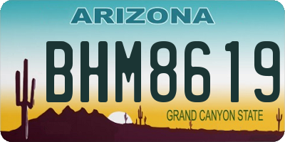 AZ license plate BHM8619