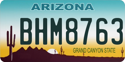 AZ license plate BHM8763