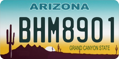 AZ license plate BHM8901