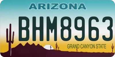 AZ license plate BHM8963