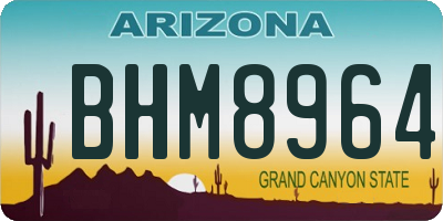AZ license plate BHM8964