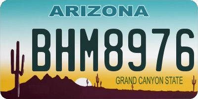AZ license plate BHM8976
