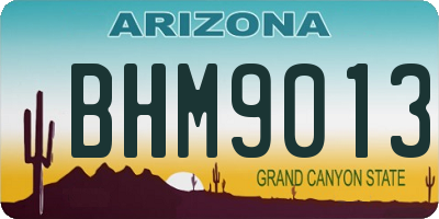 AZ license plate BHM9013