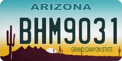 AZ license plate BHM9031