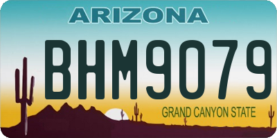 AZ license plate BHM9079