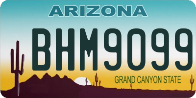 AZ license plate BHM9099