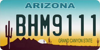 AZ license plate BHM9111