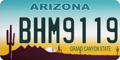 AZ license plate BHM9119