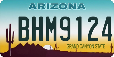 AZ license plate BHM9124