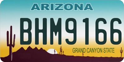 AZ license plate BHM9166