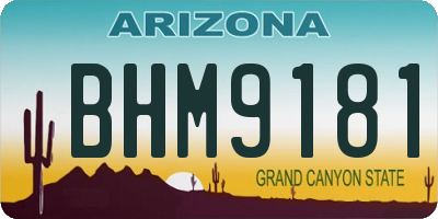 AZ license plate BHM9181