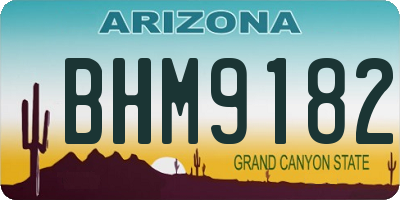 AZ license plate BHM9182