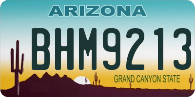 AZ license plate BHM9213