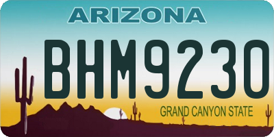 AZ license plate BHM9230