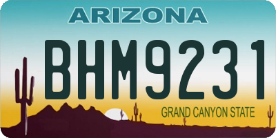AZ license plate BHM9231
