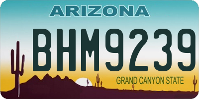AZ license plate BHM9239