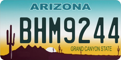 AZ license plate BHM9244