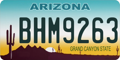 AZ license plate BHM9263