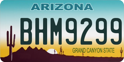 AZ license plate BHM9299