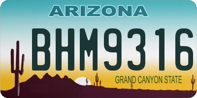 AZ license plate BHM9316