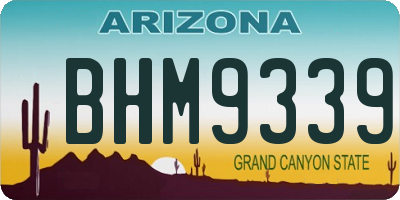 AZ license plate BHM9339
