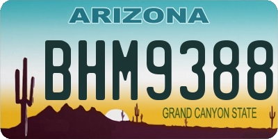 AZ license plate BHM9388