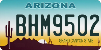 AZ license plate BHM9502