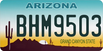 AZ license plate BHM9503