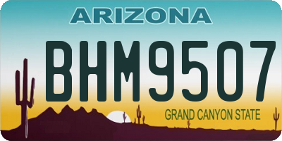 AZ license plate BHM9507