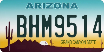 AZ license plate BHM9514