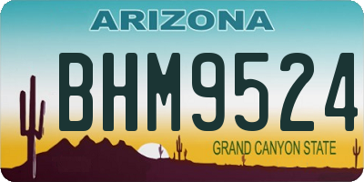 AZ license plate BHM9524