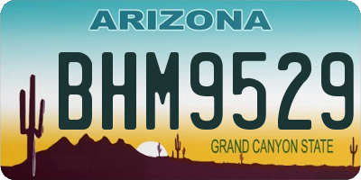 AZ license plate BHM9529