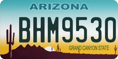 AZ license plate BHM9530