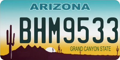 AZ license plate BHM9533