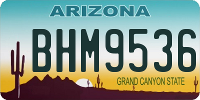 AZ license plate BHM9536