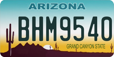 AZ license plate BHM9540
